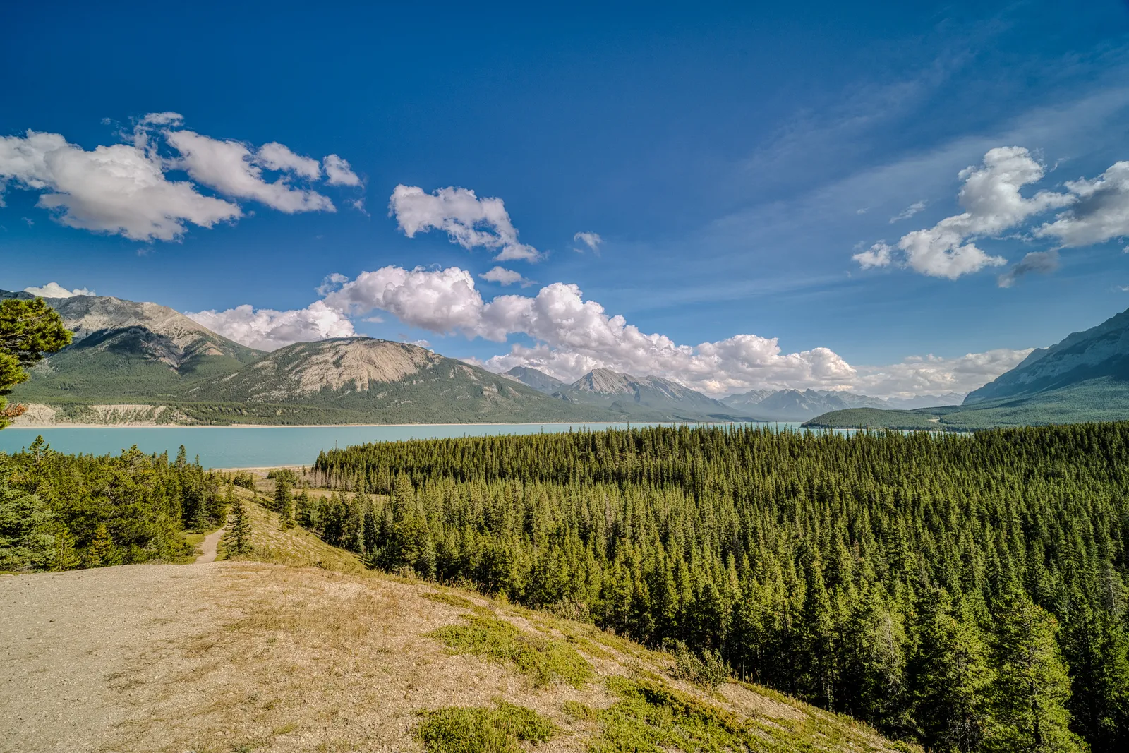 Panoramic Abraham Lake mountain view